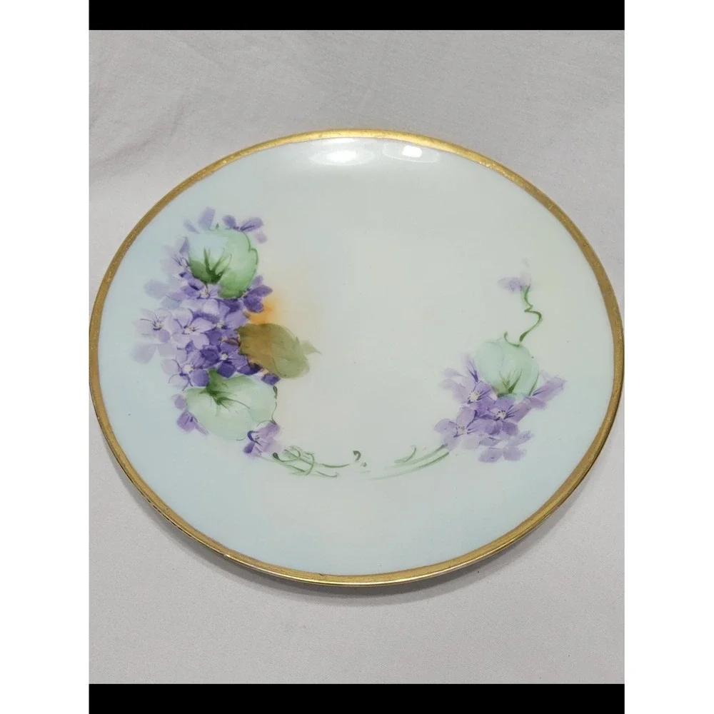 Thomas Sevres Bavaria Porcelain Floral Plate Gold Trim ~8 in Round Decorative